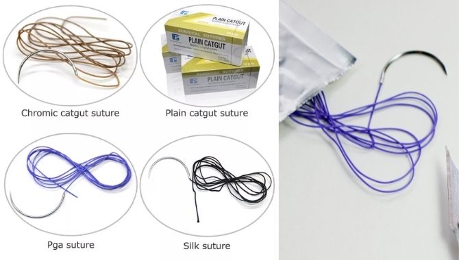 Braided Absorbent Suture