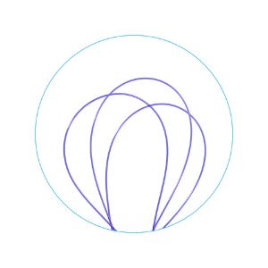 0 Looped PDS Suture