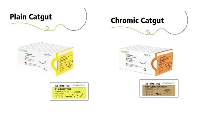 Difference Between Chromic and Plain Catgut