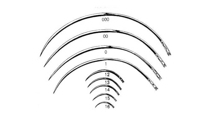 Surgical Needle Sizes