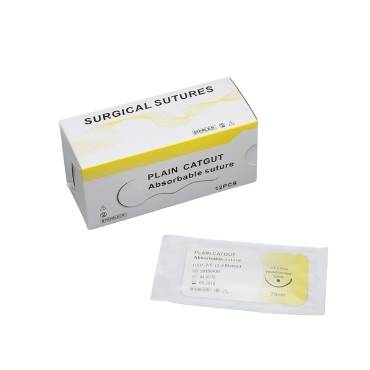 Plain Monofilament Gut Suture