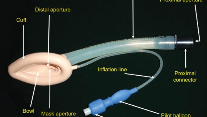 Features of Our PVC Laryngeal Masks