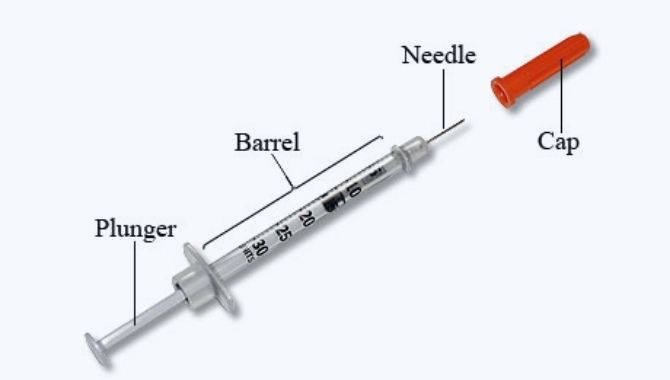 Primary Components of Insulin Syringe