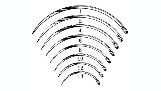 Sizes Options of Taper Point Needles